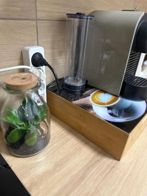 Le Cocon Canetois エクステリア 写真